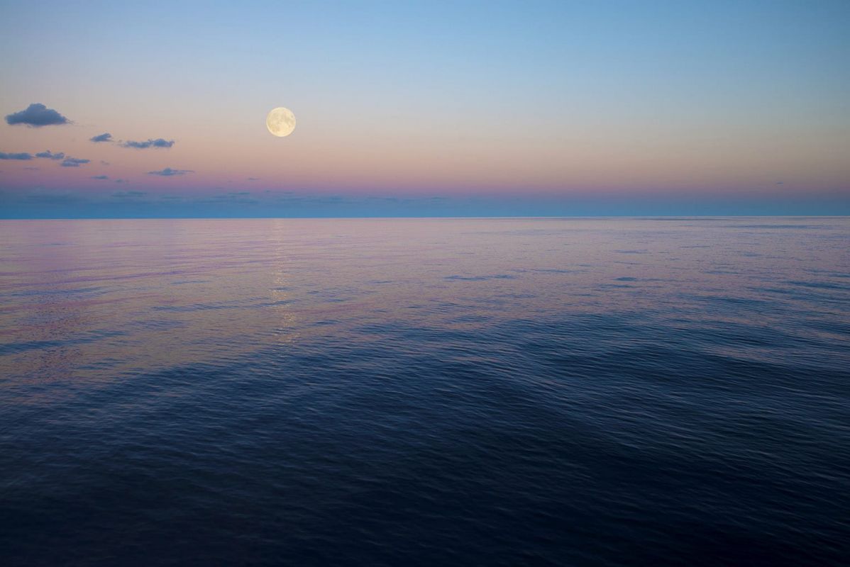 On board of Diciotti